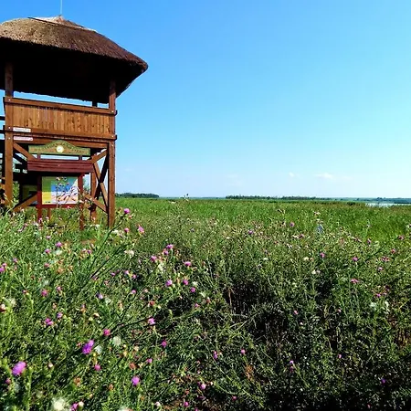 Lägenhet Wellness In Velence
